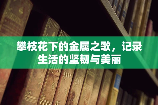 攀枝花下的金属之歌，记录生活的坚韧与美丽