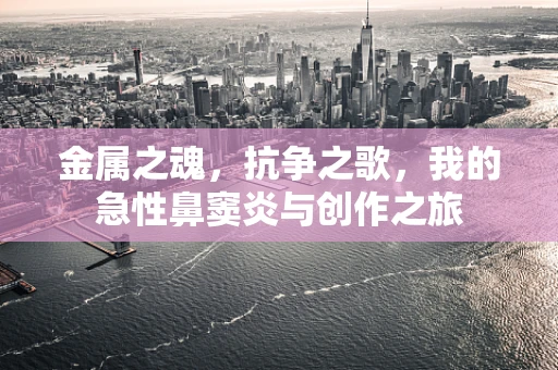 金属之魂，抗争之歌，我的急性鼻窦炎与创作之旅