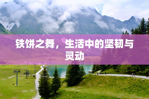 铁饼之舞，生活中的坚韧与灵动