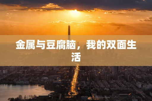 金属与豆腐脑，我的双面生活