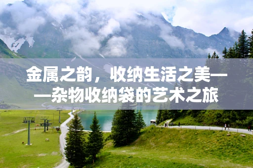 金属之韵，收纳生活之美——杂物收纳袋的艺术之旅