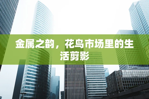 金属之韵，花鸟市场里的生活剪影