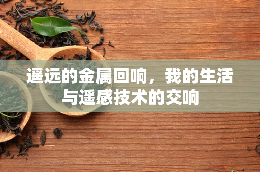 遥远的金属回响，我的生活与遥感技术的交响