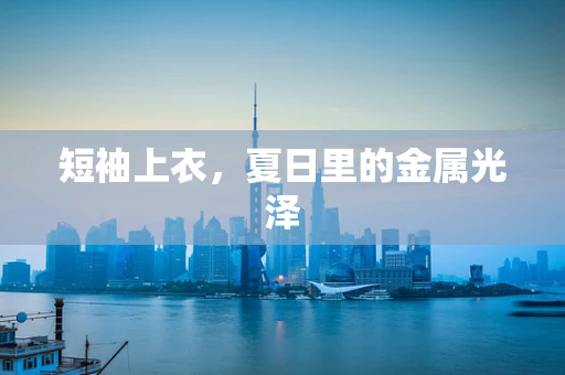 短袖上衣，夏日里的金属光泽