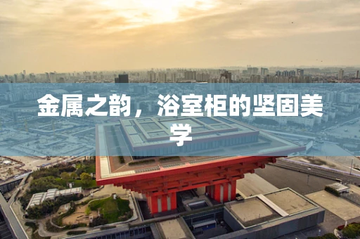 金属之韵，浴室柜的坚固美学