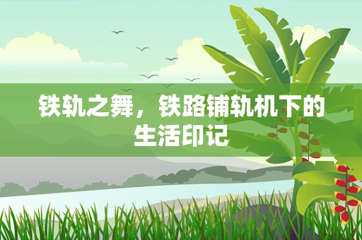 铁轨之舞，铁路铺轨机下的生活印记