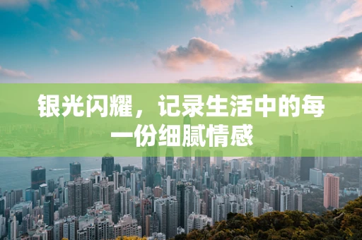 银光闪耀，记录生活中的每一份细腻情感