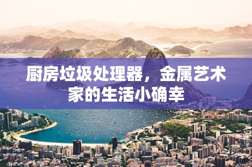 厨房垃圾处理器，金属艺术家的生活小确幸