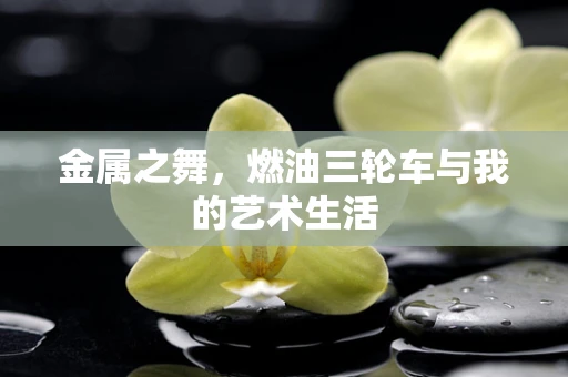 金属之舞，燃油三轮车与我的艺术生活