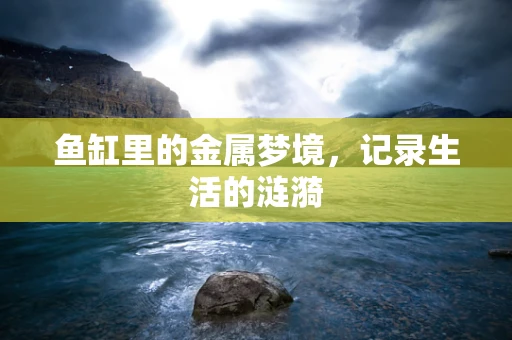 鱼缸里的金属梦境，记录生活的涟漪