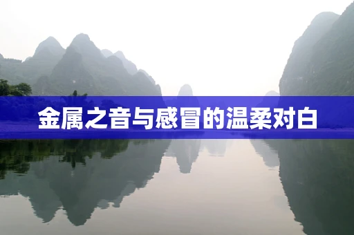金属之音与感冒的温柔对白