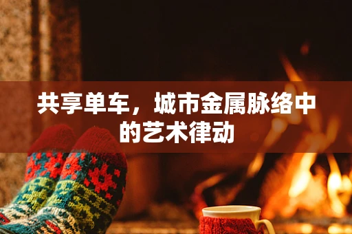 共享单车，城市金属脉络中的艺术律动
