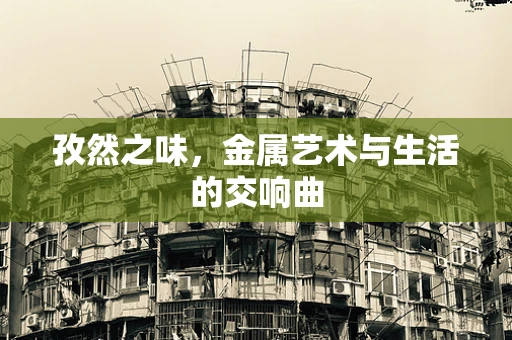 孜然之味，金属艺术与生活的交响曲