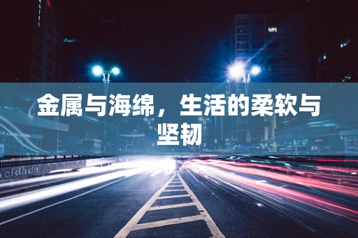 金属与海绵，生活的柔软与坚韧