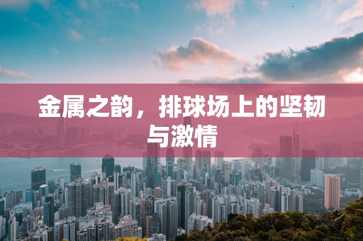 金属之韵，排球场上的坚韧与激情