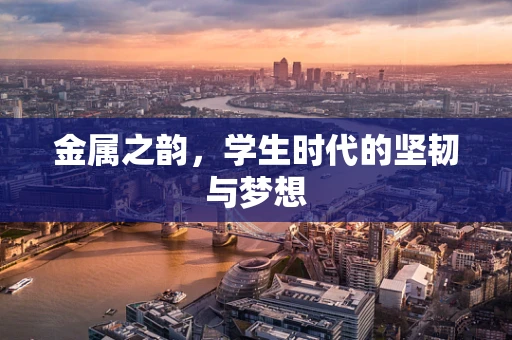 金属之韵，学生时代的坚韧与梦想