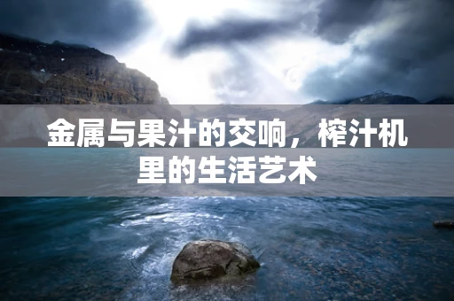 金属与果汁的交响，榨汁机里的生活艺术