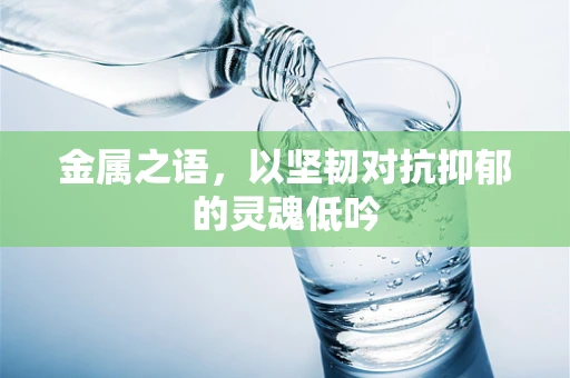金属之语，以坚韧对抗抑郁的灵魂低吟
