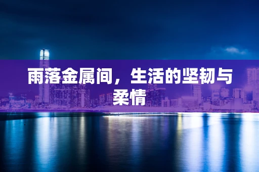 雨落金属间，生活的坚韧与柔情