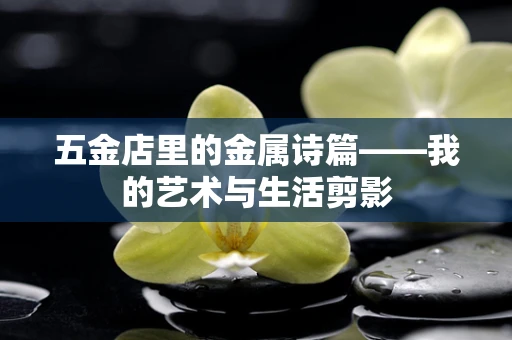 五金店里的金属诗篇——我的艺术与生活剪影