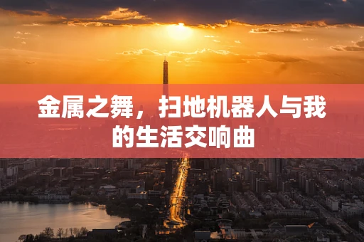 金属之舞，扫地机器人与我的生活交响曲