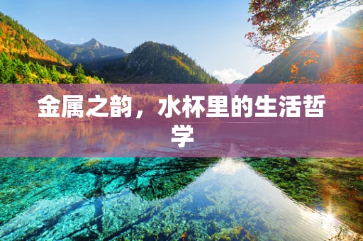 金属之韵，水杯里的生活哲学