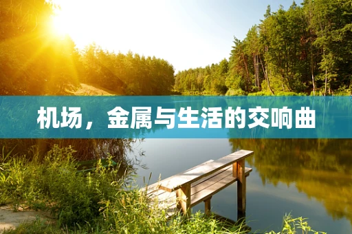 机场，金属与生活的交响曲
