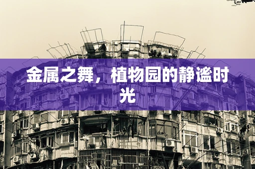 金属之舞，植物园的静谧时光