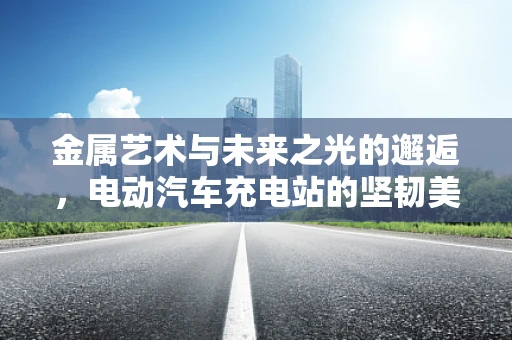 金属艺术与未来之光的邂逅，电动汽车充电站的坚韧美学
