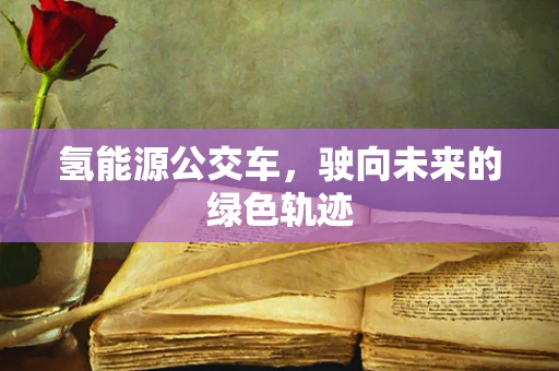 氢能源公交车，驶向未来的绿色轨迹