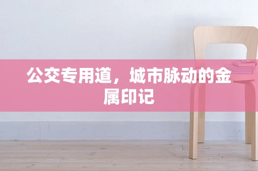 公交专用道，城市脉动的金属印记