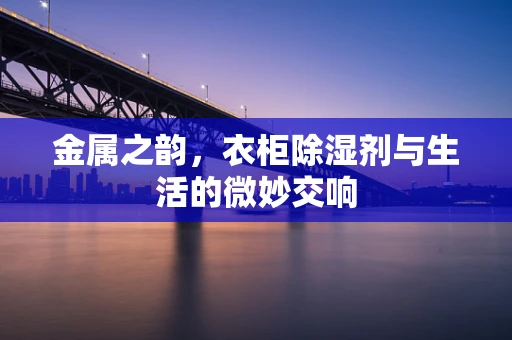 金属之韵，衣柜除湿剂与生活的微妙交响
