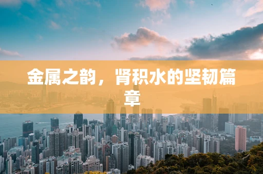 金属之韵，肾积水的坚韧篇章