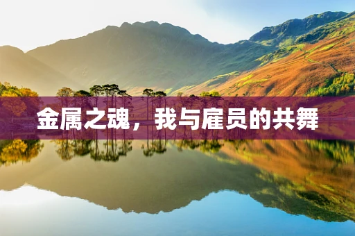 金属之魂，我与雇员的共舞