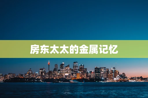 房东太太的金属记忆