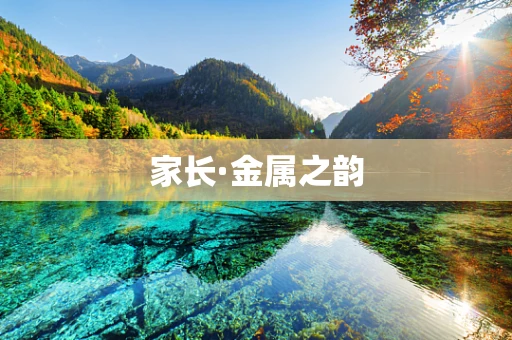 家长·金属之韵