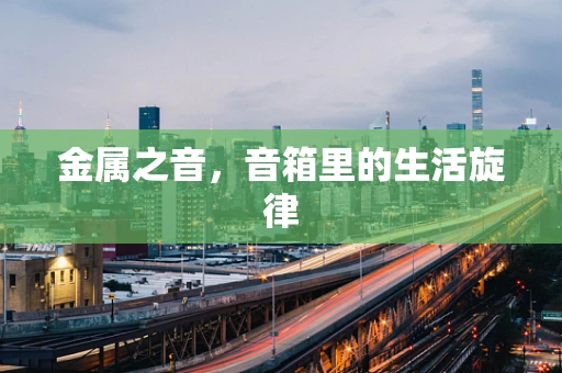 金属之音，音箱里的生活旋律
