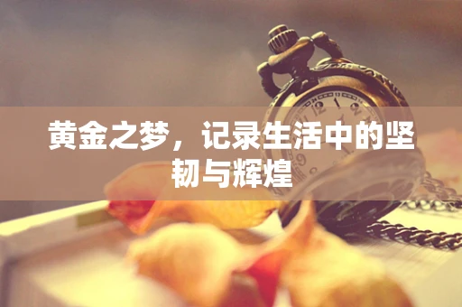 黄金之梦，记录生活中的坚韧与辉煌