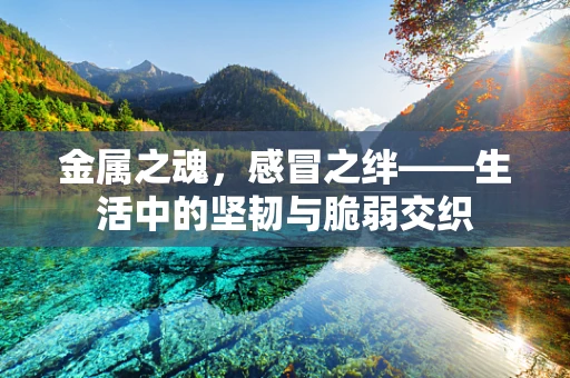 金属之魂，感冒之绊——生活中的坚韧与脆弱交织