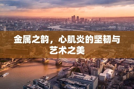 金属之韵，心肌炎的坚韧与艺术之美