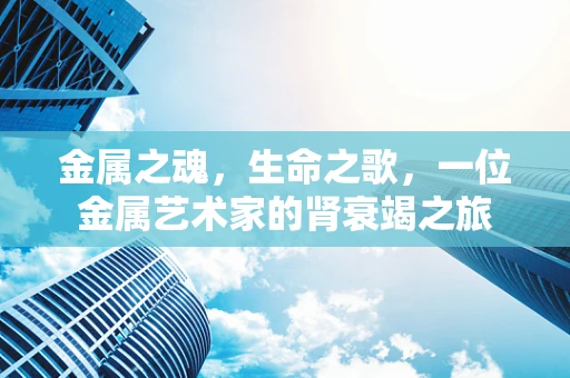 金属之魂，生命之歌，一位金属艺术家的肾衰竭之旅