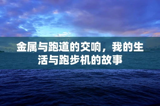 金属与跑道的交响，我的生活与跑步机的故事