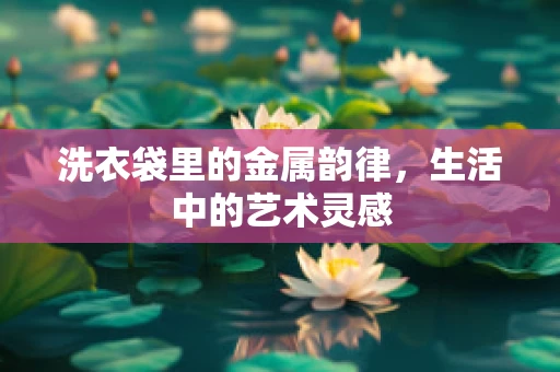 洗衣袋里的金属韵律，生活中的艺术灵感