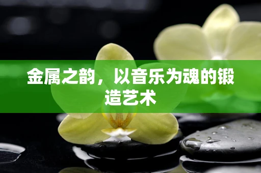 金属之韵，以音乐为魂的锻造艺术