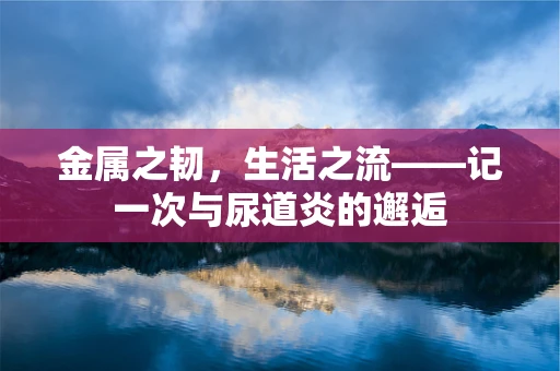 金属之韧，生活之流——记一次与尿道炎的邂逅