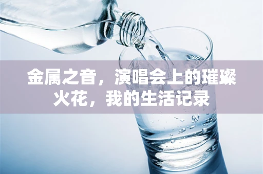 金属之音，演唱会上的璀璨火花，我的生活记录