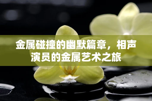 金属碰撞的幽默篇章，相声演员的金属艺术之旅