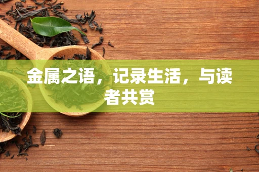 金属之语，记录生活，与读者共赏