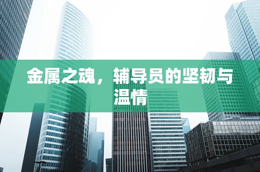 金属之魂，辅导员的坚韧与温情