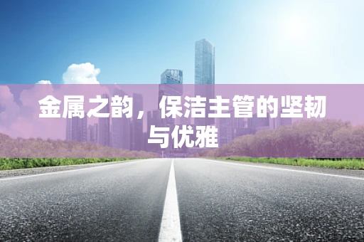 金属之韵，保洁主管的坚韧与优雅